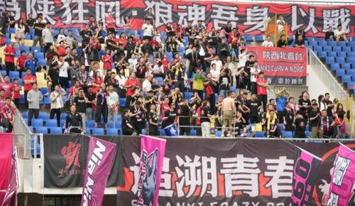 西北绝杀全集在线观看,揭秘神秘杀手传奇，全集在线观看