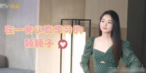 爆料赵丽颖真的吗视频播放,揭秘背后惊人真相